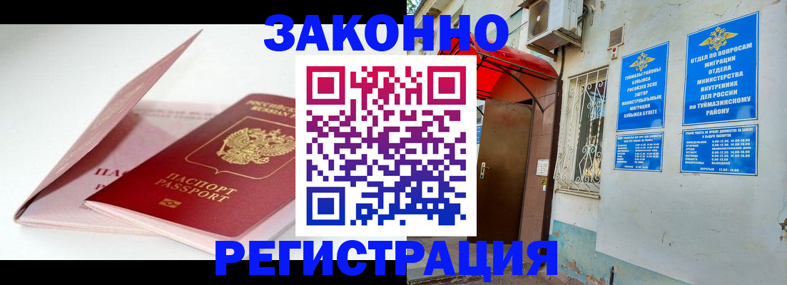 прописка гарантия в Светлогорске